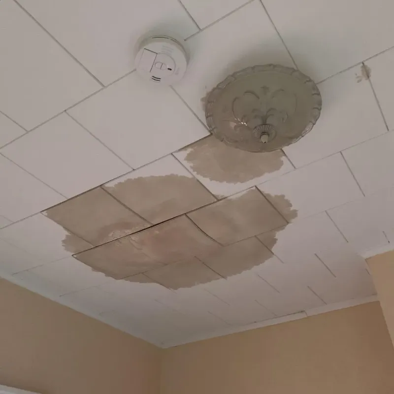 Ceiling Water Damage Repair in Hamilton, TX