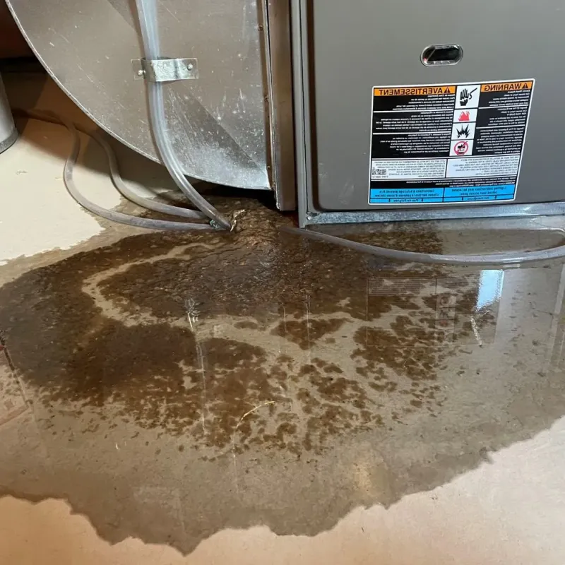 Pipe Burst and Leak Restoration in Hamilton, TX