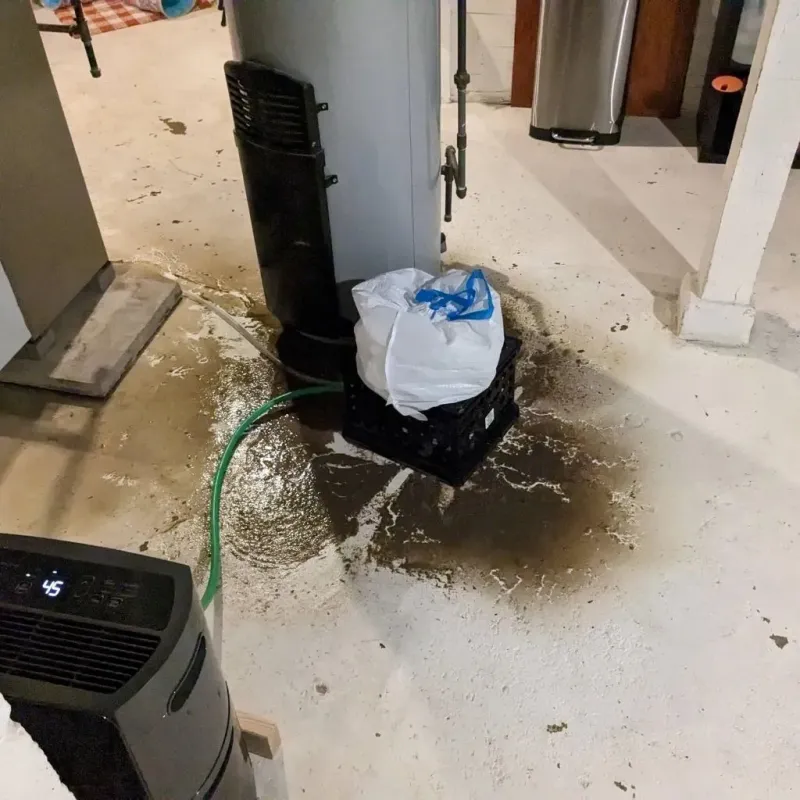 Sewage Backup Cleanup Service in Hamilton, TX